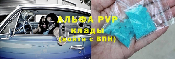 шишки Белоозёрский