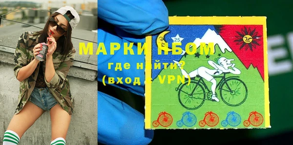 ECSTASY Алзамай