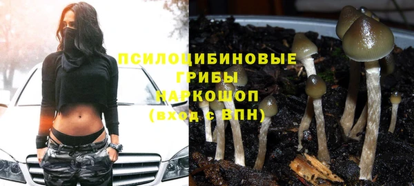 гашишное масло Беломорск