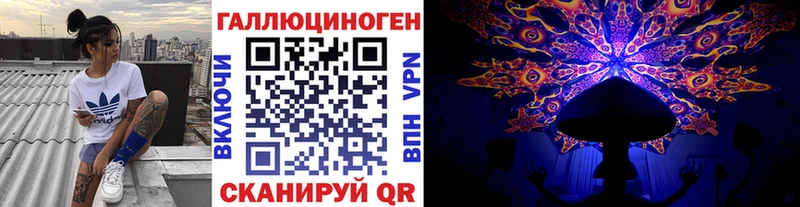 где купить мега вход Галлюциногенные грибы Psilocybine cubensis Петропавловск-Камчатский