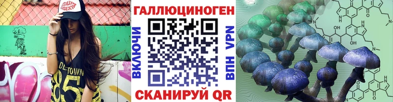 Псилоцибиновые грибы мицелий Петропавловск-Камчатский