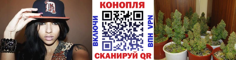 Бошки Шишки тримм  Петропавловск-Камчатский 